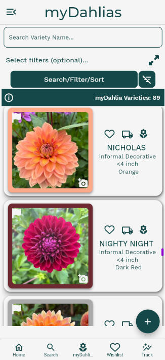 Dahlia Wizard Search Page