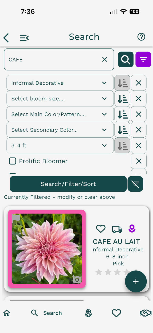 Dahlia Wizard Search Page